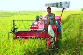 Le rôle de l’Association des paysans dans l’édification de la nouvelle ruralité - ảnh 1